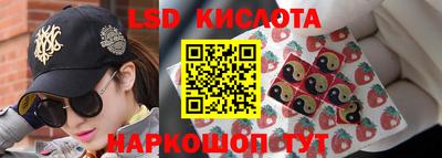 spice Камышлов
