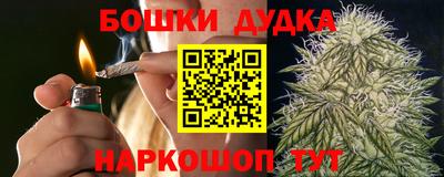 spice Камышлов