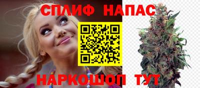 spice Камышлов