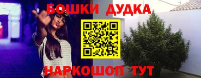 дмт Кандалакша