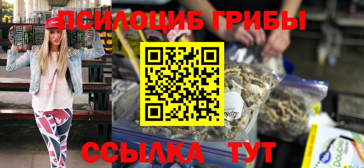 Псилоцибиновые грибы Cubensis Салават